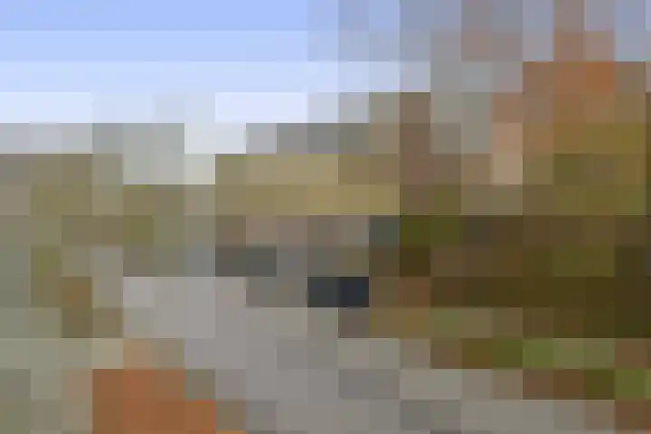 Vuurdoornpark 37 Zoetermeer thumbnail 37