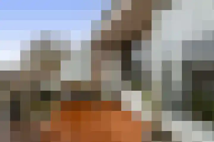 Vuurdoornpark 37 Zoetermeer thumbnail 4