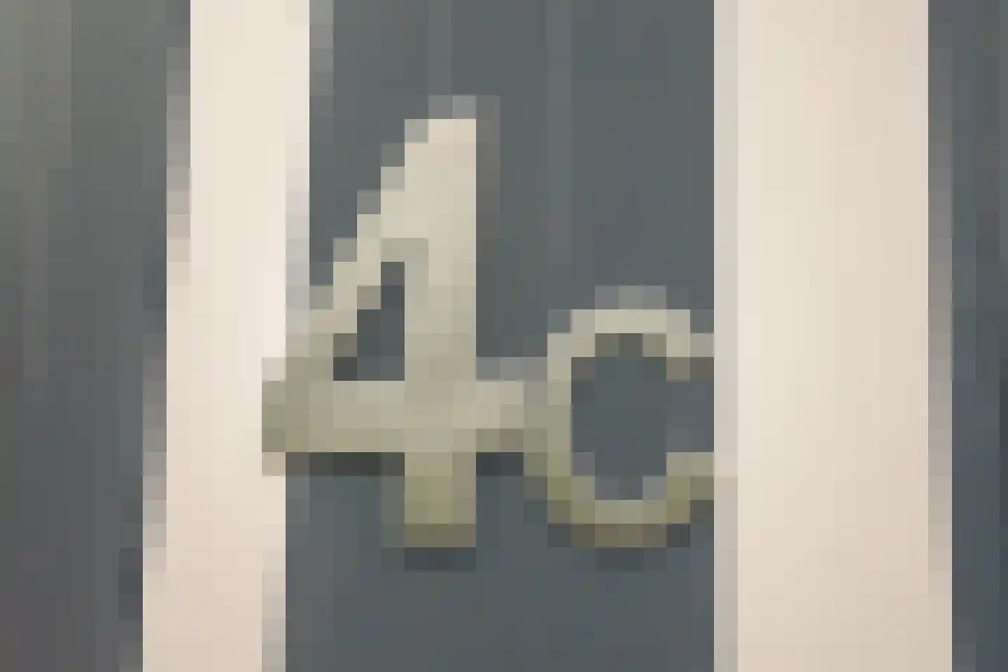 Vuurdoornplein 4 C Hengelo thumbnail 6