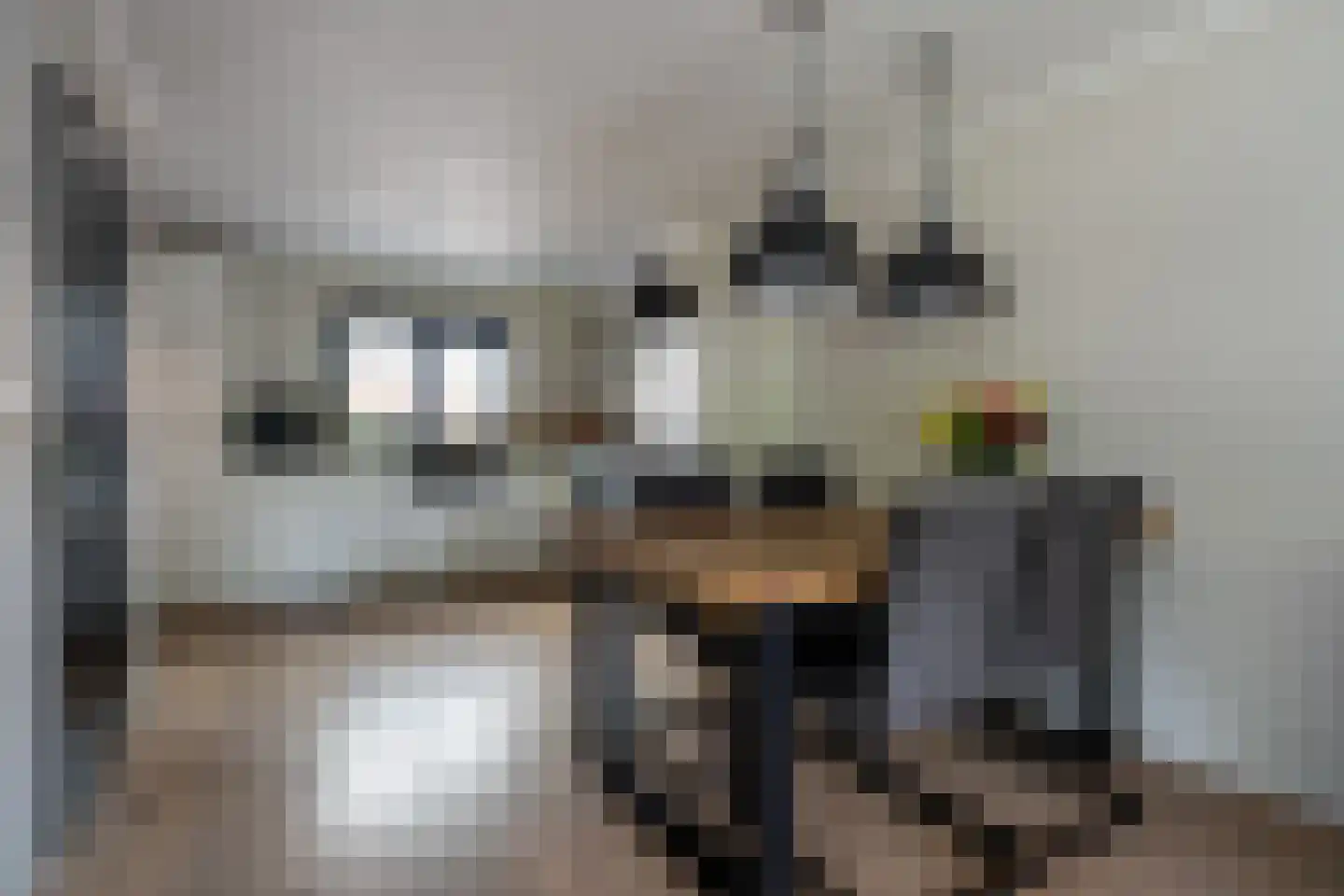 Vuurdoornstraat 1 Musselkanaal thumbnail 9