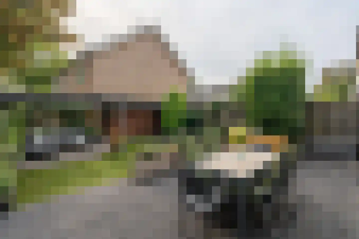 Vuurdoornstraat 106 Vaassen thumbnail 31