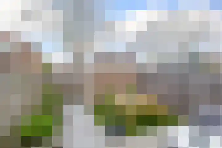 Vuurdoornstraat 13 Bleiswijk thumbnail 22