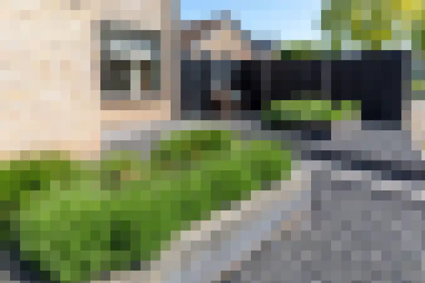 Vuurdoornstraat 131 Opheusden thumbnail 7