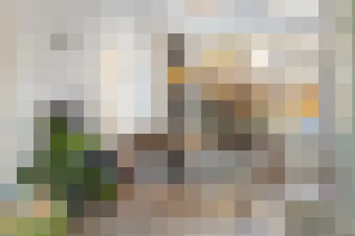 Vuurdoornstraat 15 Geldermalsen thumbnail 12