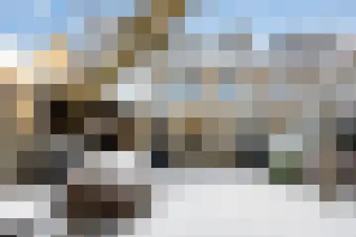 Vuurdoornstraat 15 Geldermalsen thumbnail 4