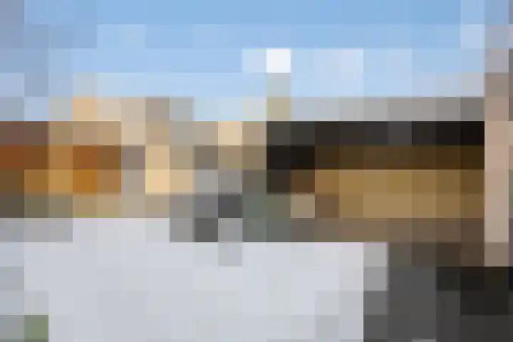 Vuurdoornstraat 15 Geldermalsen thumbnail 5