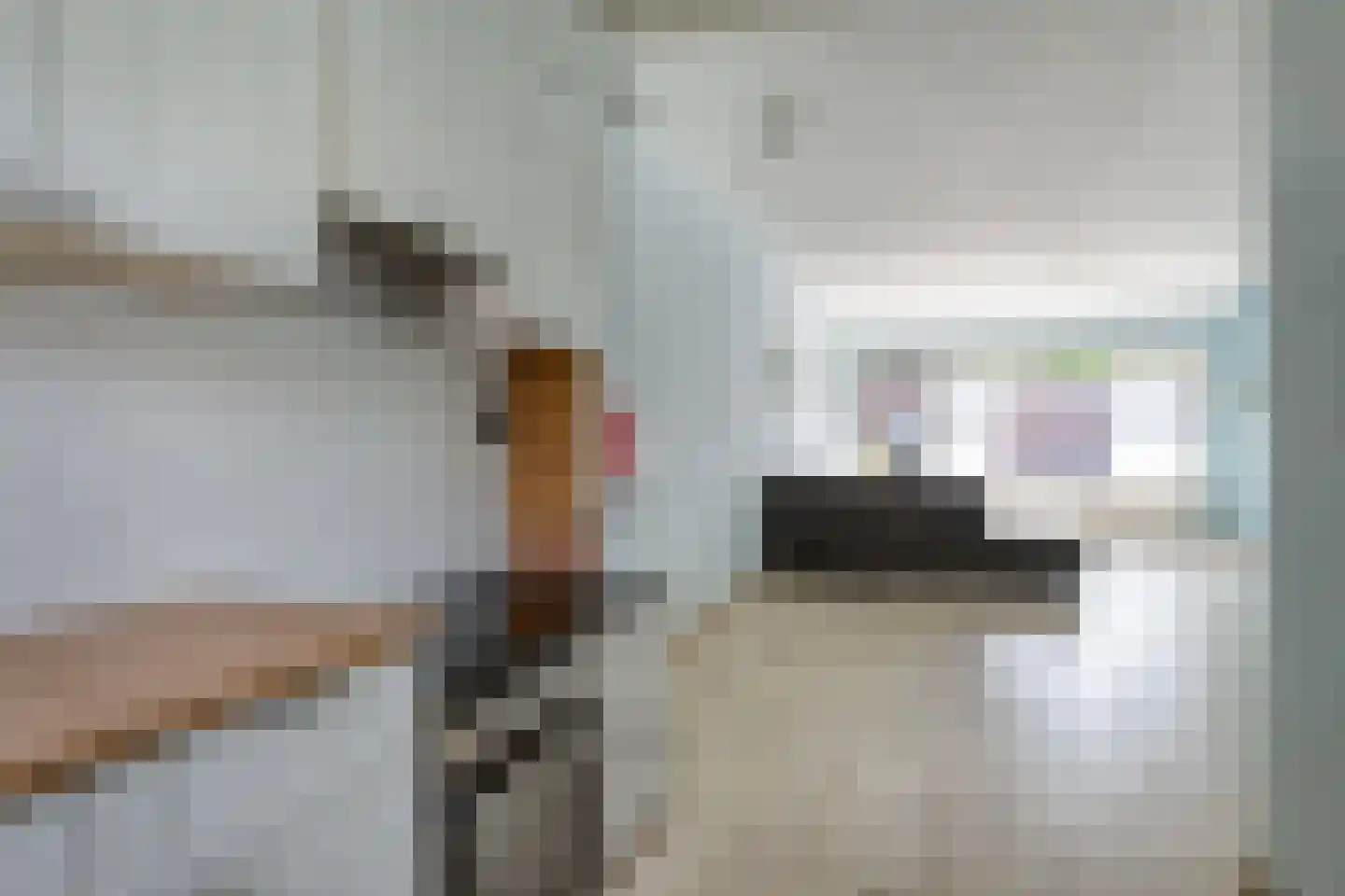 Vuurdoornstraat 19 Bleiswijk thumbnail 12