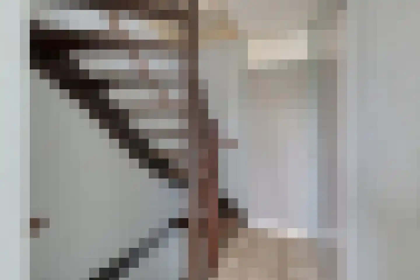 Vuurdoornstraat 19 Bleiswijk thumbnail 22