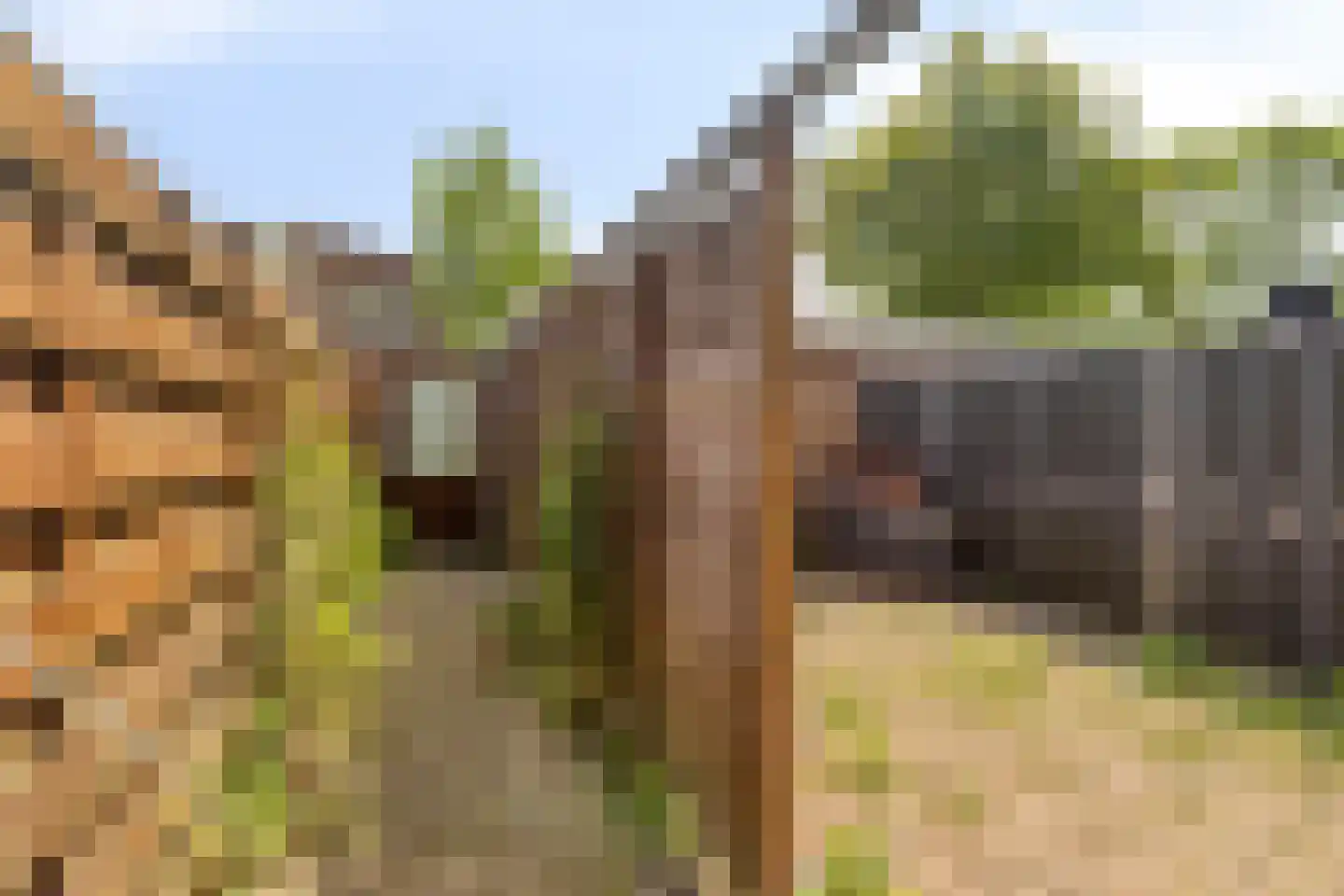Vuurdoornstraat 19 Bleiswijk thumbnail 26