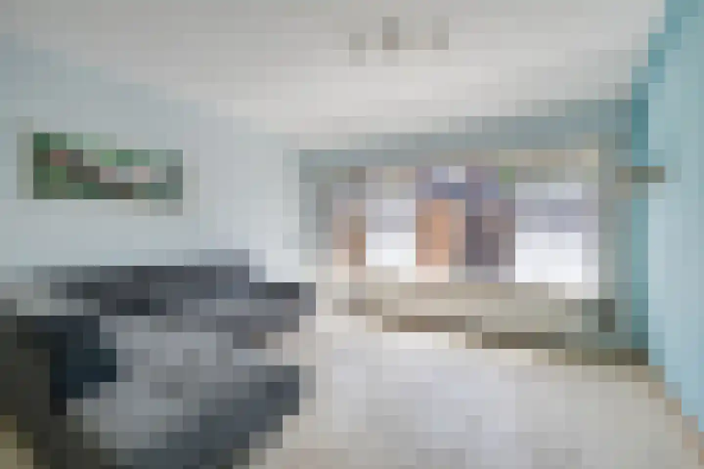 Vuurdoornstraat 19 Bleiswijk thumbnail 4