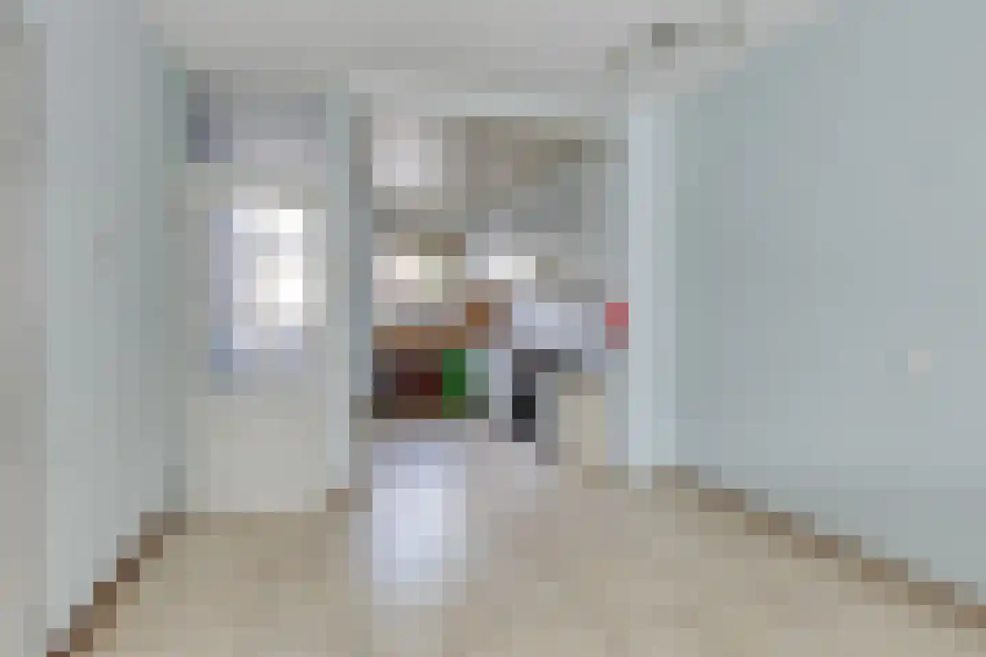 Vuurdoornstraat 19 Bleiswijk thumbnail 8