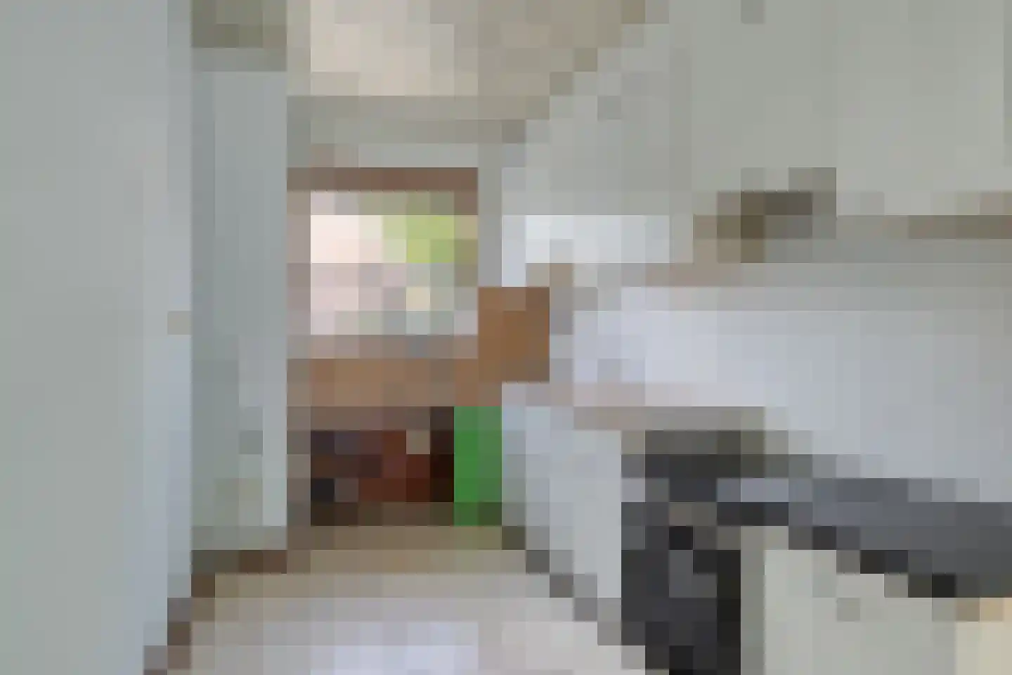 Vuurdoornstraat 19 Bleiswijk thumbnail 9