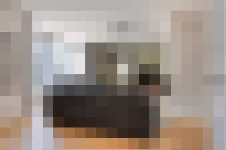Vuurdoornstraat 2 Someren thumbnail 10