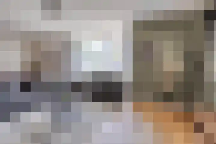 Vuurdoornstraat 2 Someren thumbnail 12