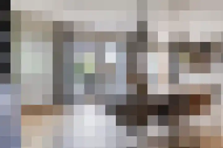 Vuurdoornstraat 2 Someren thumbnail 13