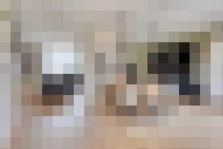 Vuurdoornstraat 2 Someren thumbnail 17