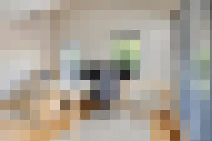 Vuurdoornstraat 2 Someren thumbnail 21