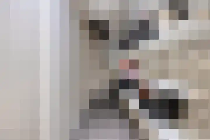 Vuurdoornstraat 2 Someren thumbnail 26