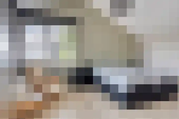 Vuurdoornstraat 2 Someren thumbnail 28