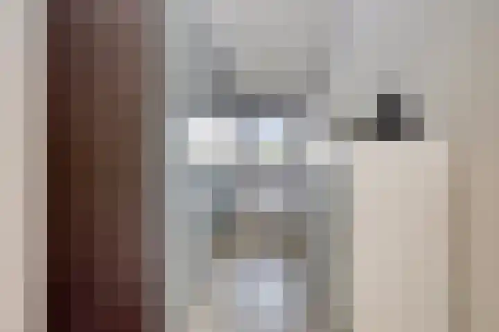 Vuurdoornstraat 2 Someren thumbnail 30