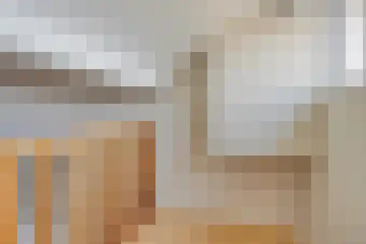 Vuurdoornstraat 2 Someren thumbnail 38