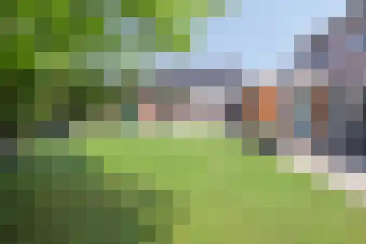 Vuurdoornstraat 2 Someren thumbnail 45