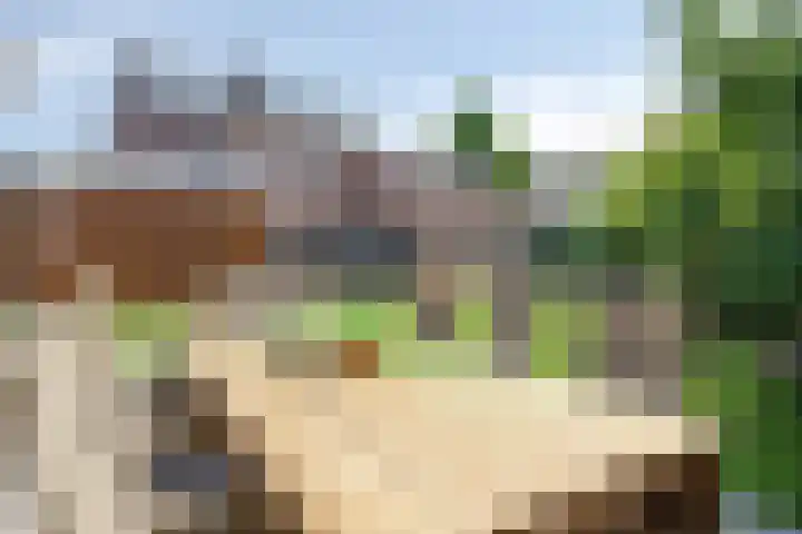 Vuurdoornstraat 2 Someren thumbnail 5