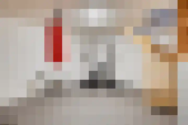 Vuurdoornstraat 2 Someren thumbnail 9