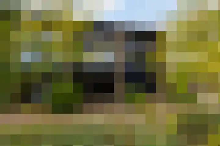 Vuurdoornstraat 202 in Vaassen