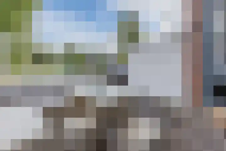 Vuurdoornstraat 22 Lisserbroek thumbnail 4
