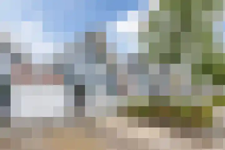 Vuurdoornstraat 22 Lisserbroek thumbnail 5