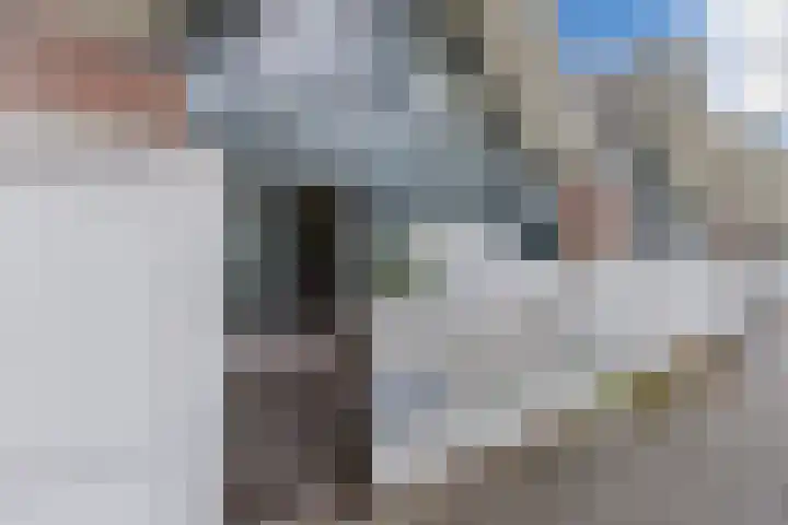 Vuurdoornstraat 22 Lisserbroek thumbnail 6