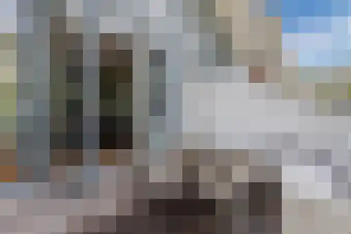 Vuurdoornstraat 22 Lisserbroek thumbnail 7