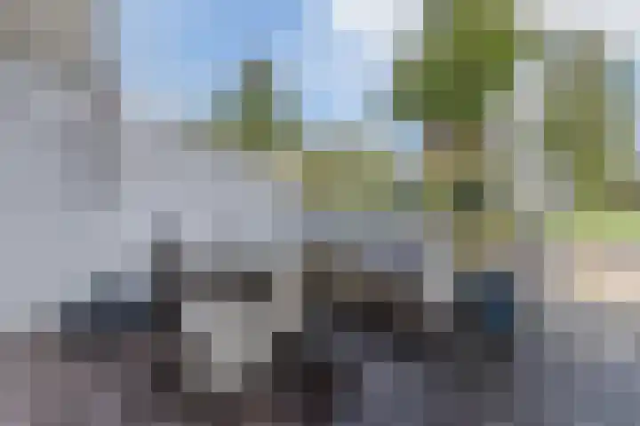 Vuurdoornstraat 22 Lisserbroek thumbnail 8