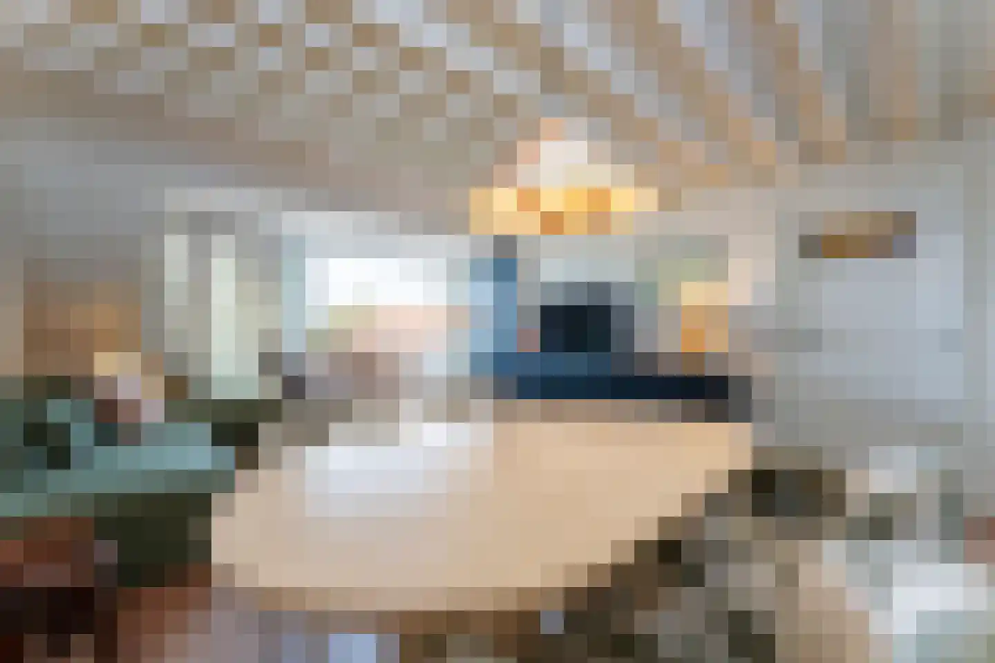 Vuurdoornstraat 23 Cadzand thumbnail 11