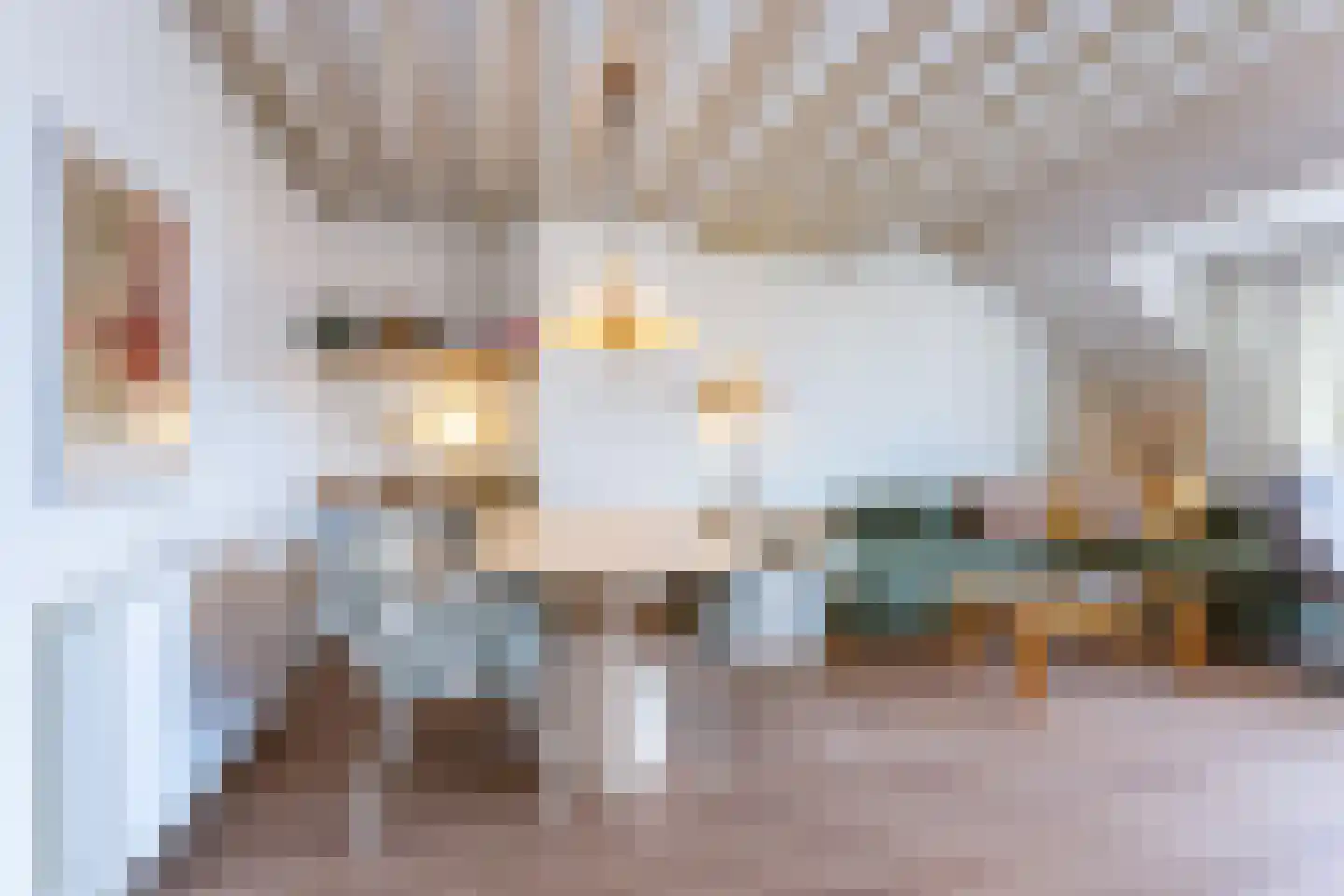 Vuurdoornstraat 23 Cadzand thumbnail 9