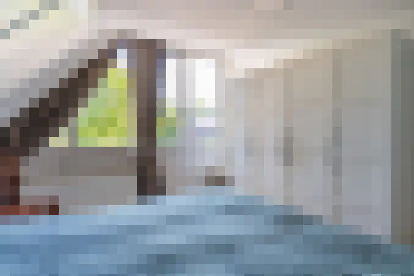Vuurdoornstraat 24 Lisserbroek thumbnail 23