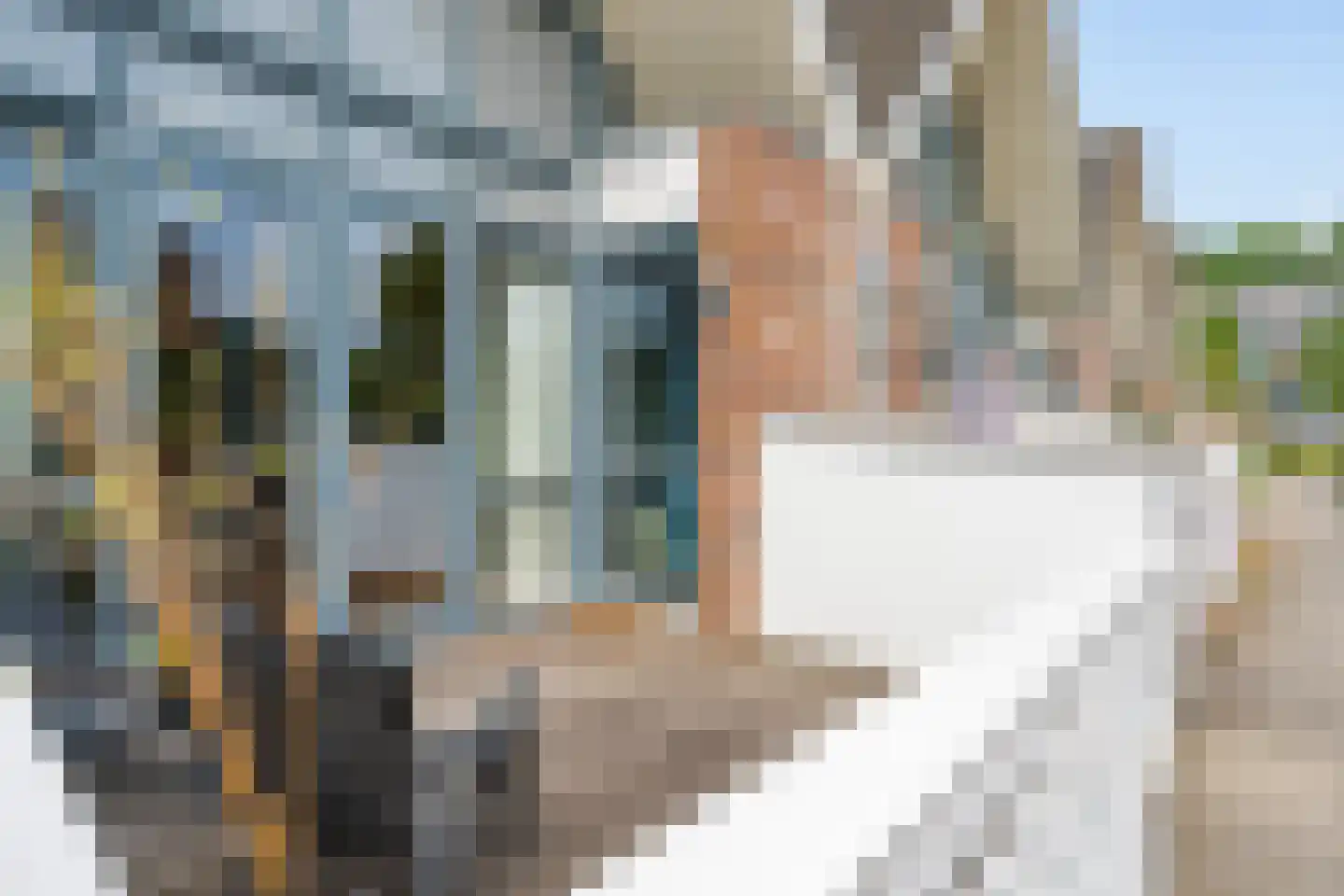 Vuurdoornstraat 24 Lisserbroek thumbnail 6