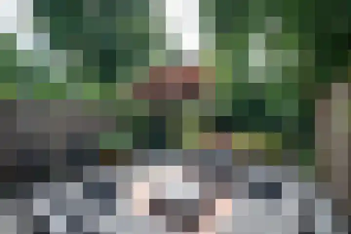 Vuurdoornstraat 240 Vaassen thumbnail 22