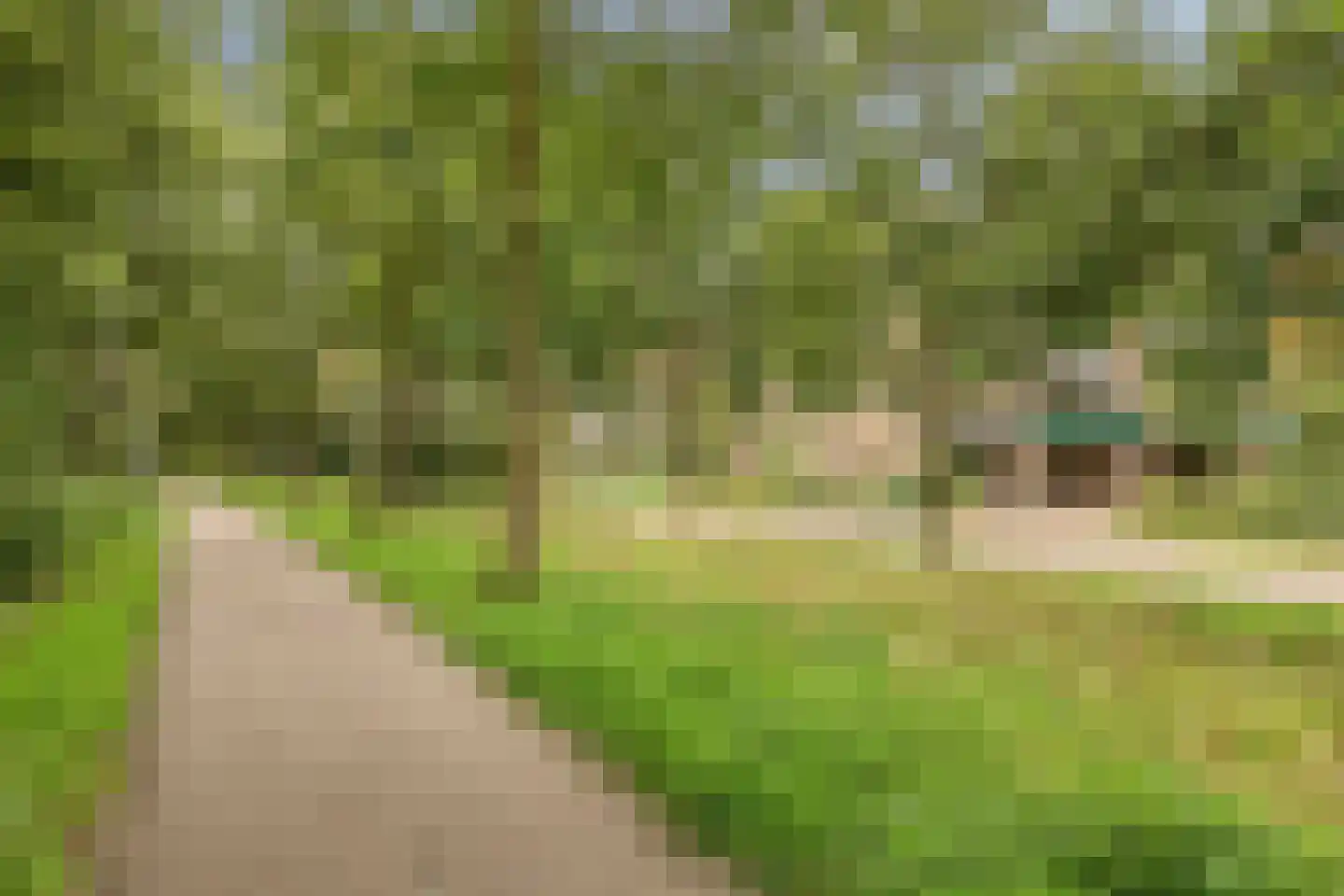 Vuurdoornstraat 246 Vaassen thumbnail 32