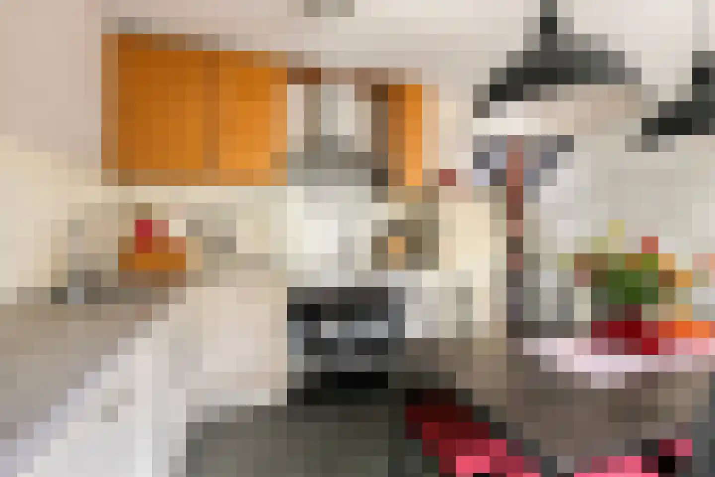 Vuurdoornstraat 246 Vaassen thumbnail 5
