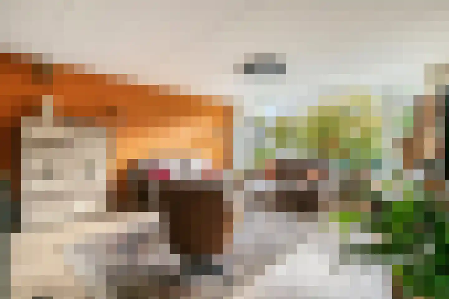 Vuurdoornstraat 246 Vaassen thumbnail 9