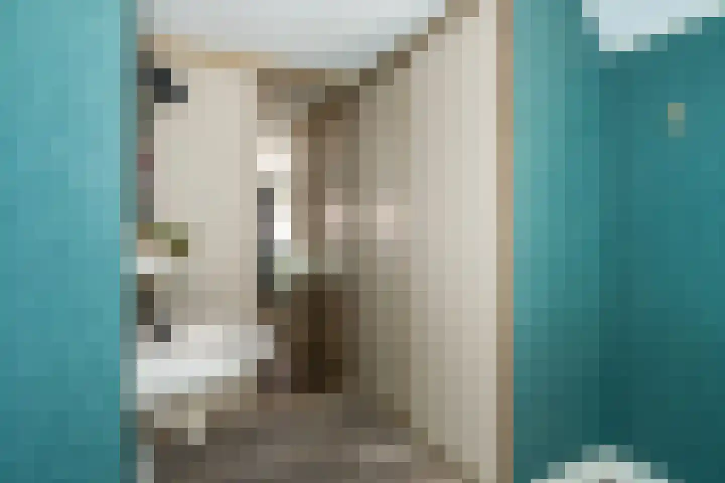 Vuurdoornstraat 252 Vaassen thumbnail 17