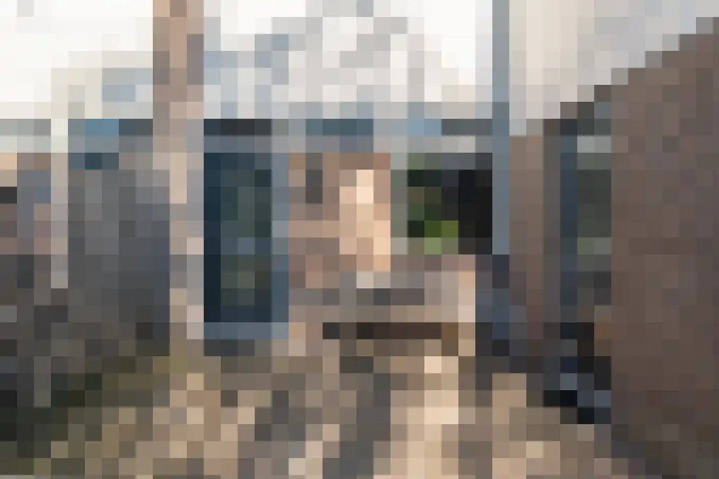 Vuurdoornstraat 252 Vaassen thumbnail 4