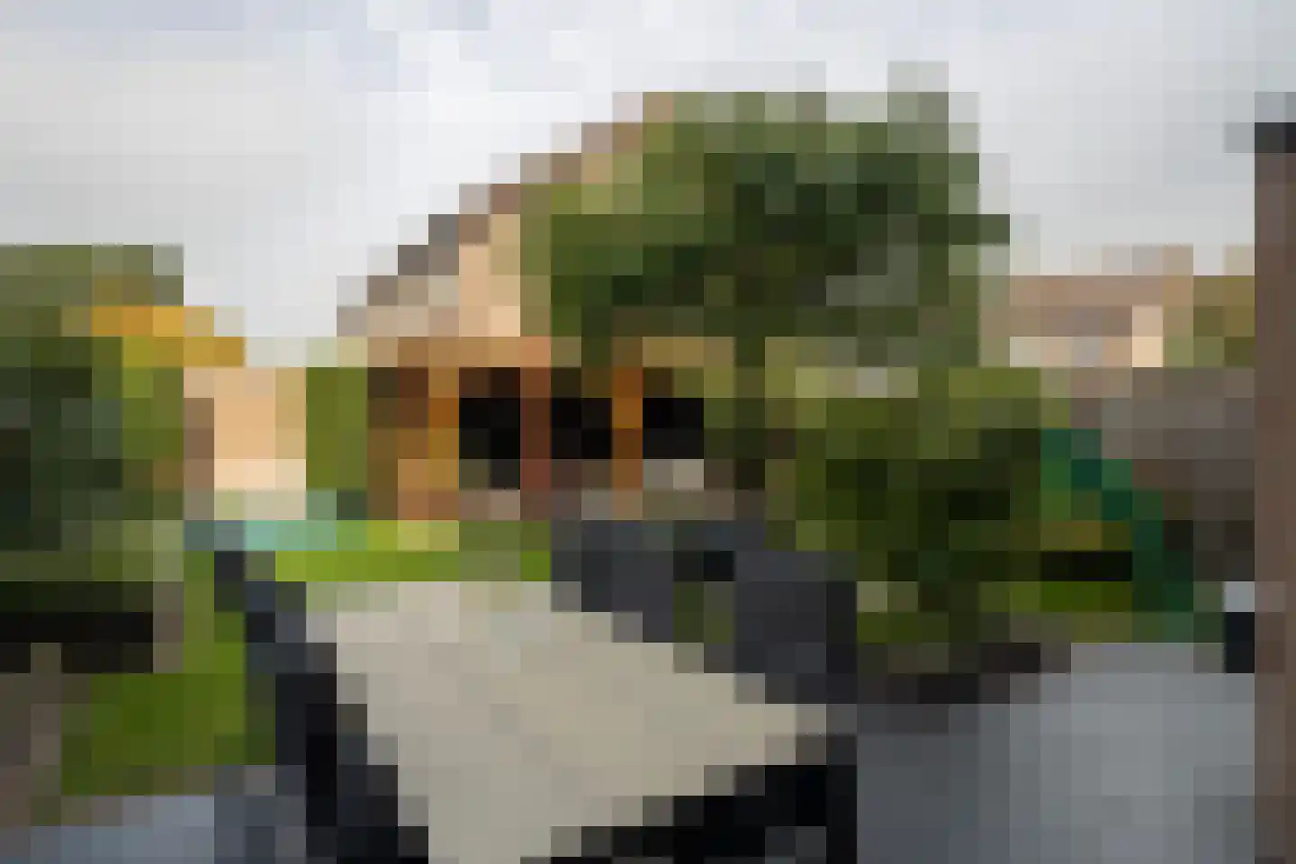 Vuurdoornstraat 266 Vaassen thumbnail 33