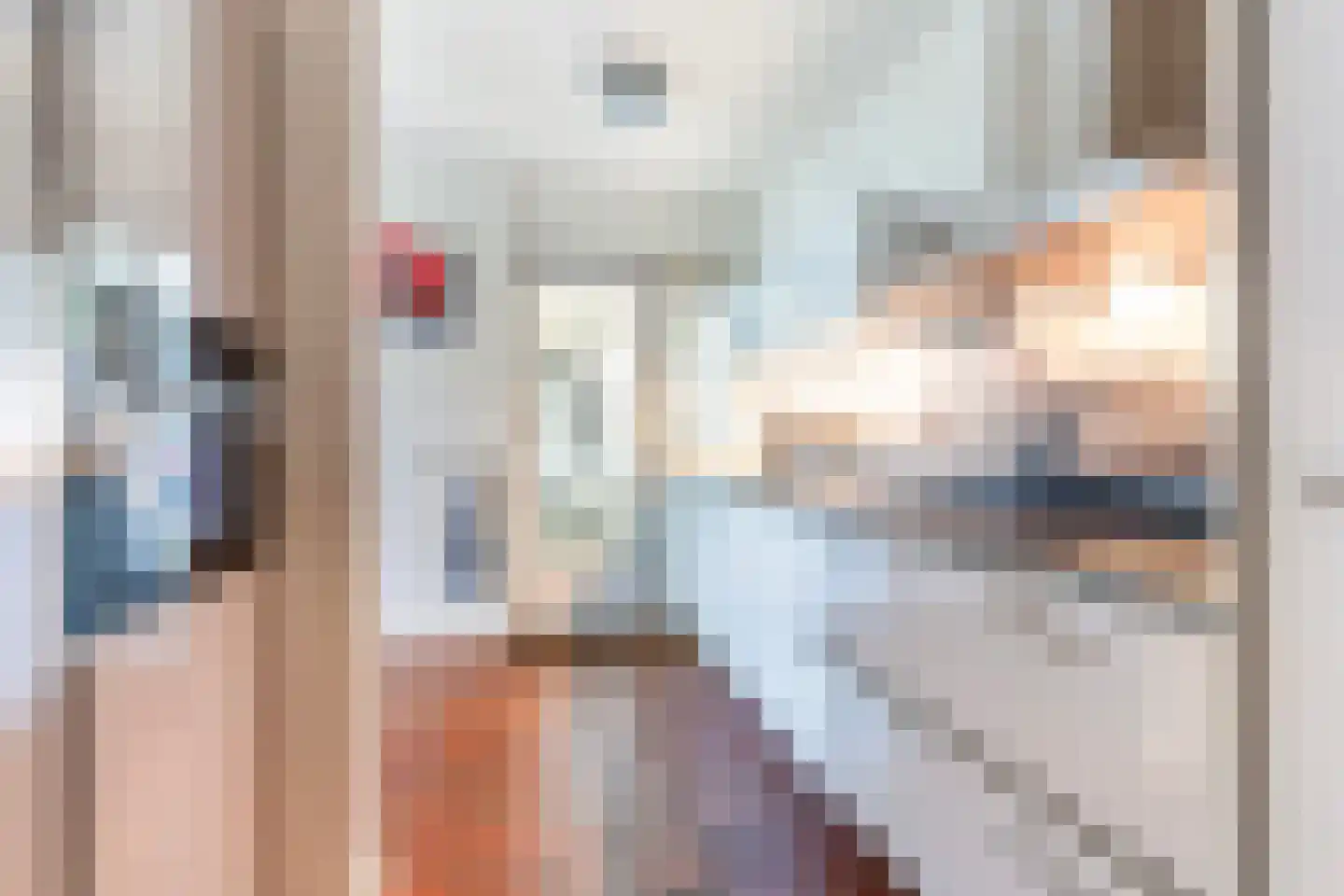 Vuurdoornstraat 35 Vaassen thumbnail 21