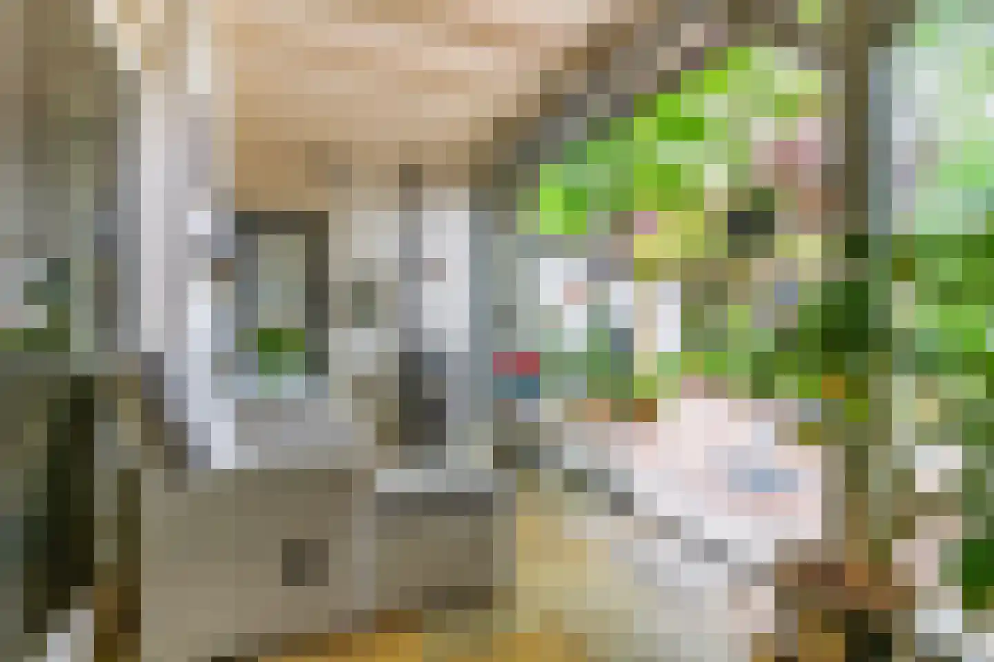 Vuurdoornstraat 35 Vaassen thumbnail 22