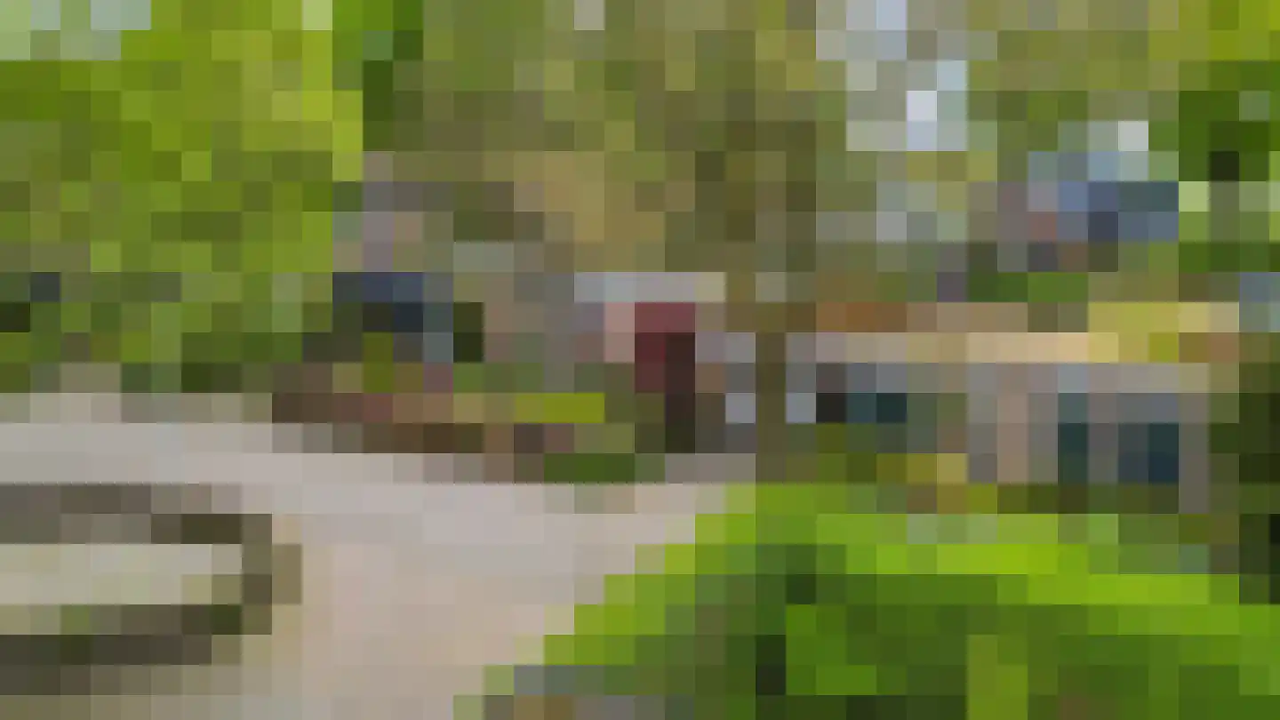 Vuurdoornstraat 35 Vaassen thumbnail 4