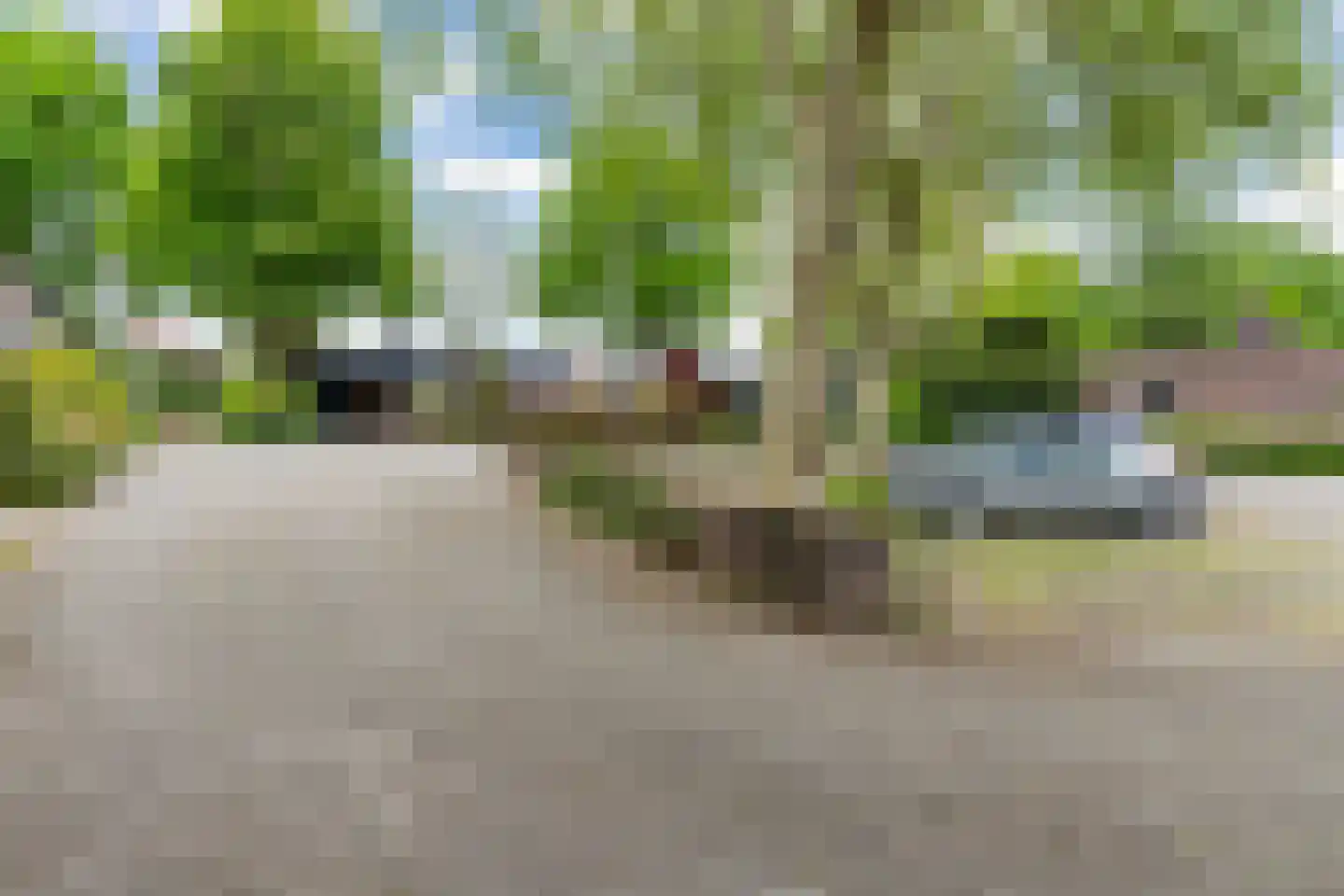 Vuurdoornstraat 35 Vaassen thumbnail 43