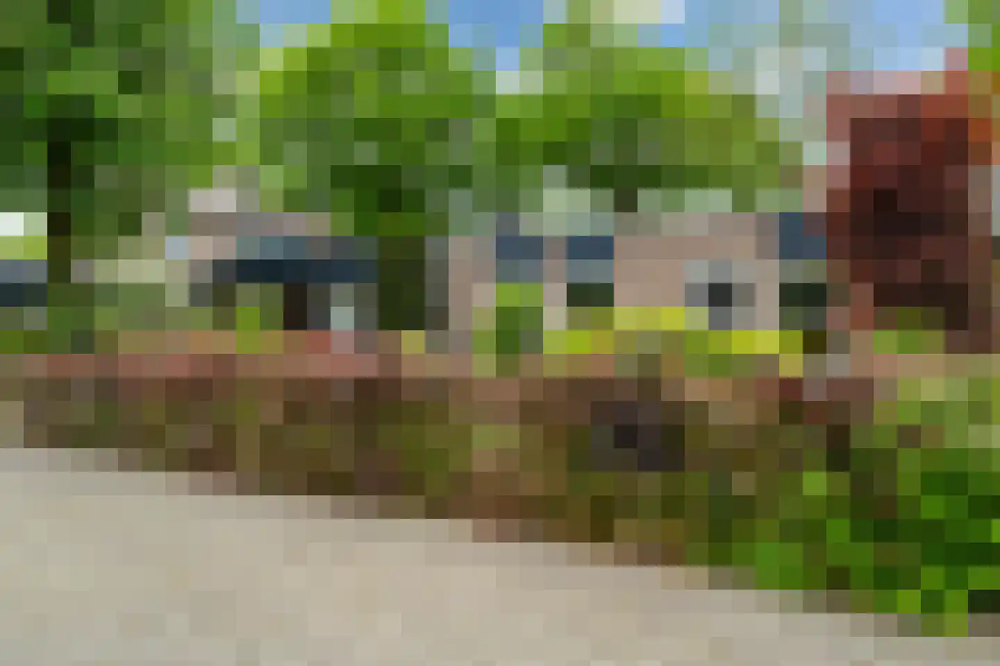 Vuurdoornstraat 35 Vaassen thumbnail 44